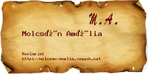 Molcsán Amélia névjegykártya